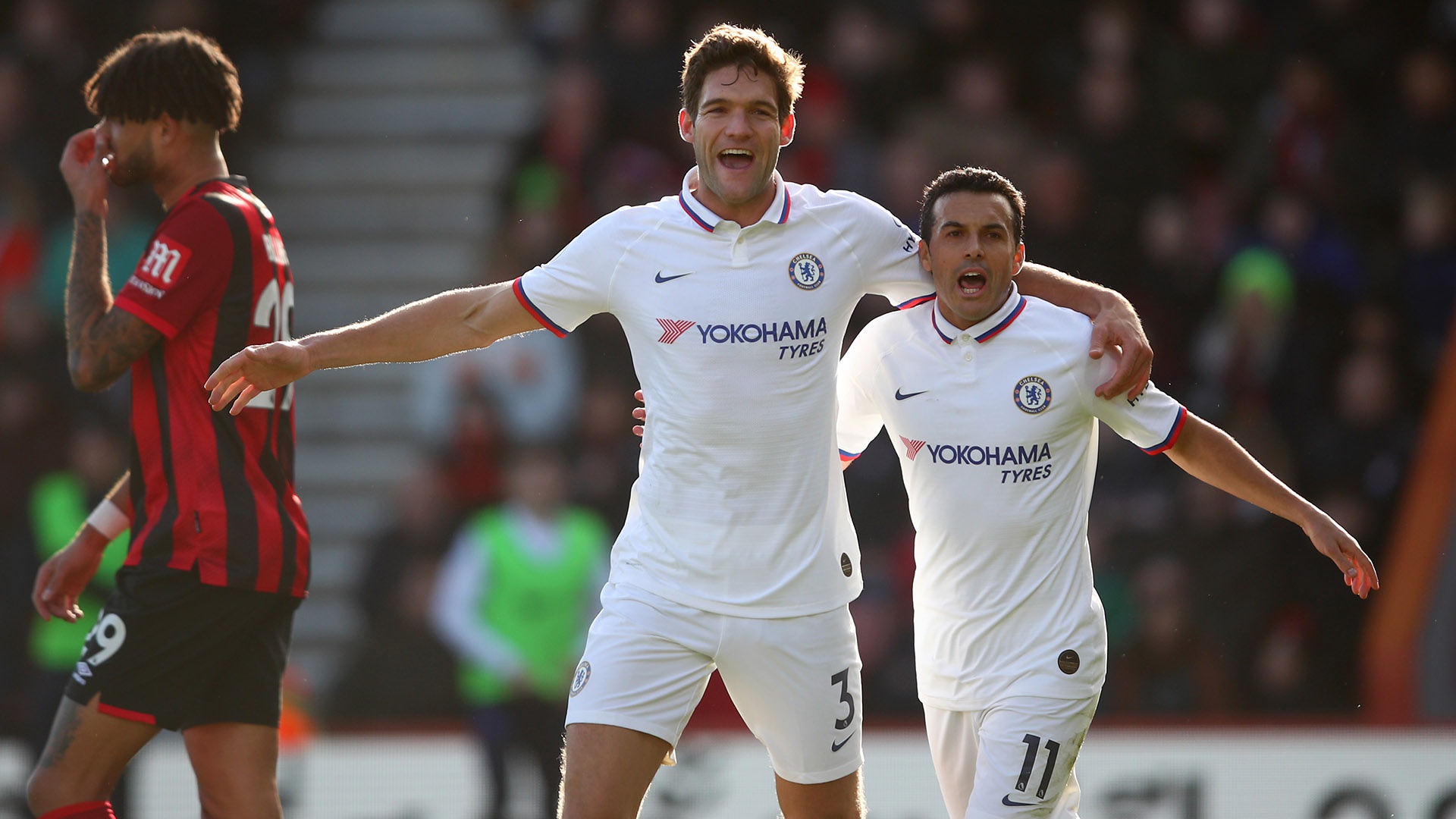 养殖污水处理设备